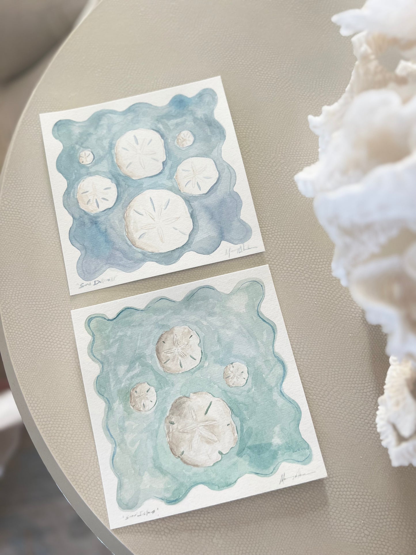 Sand dollars