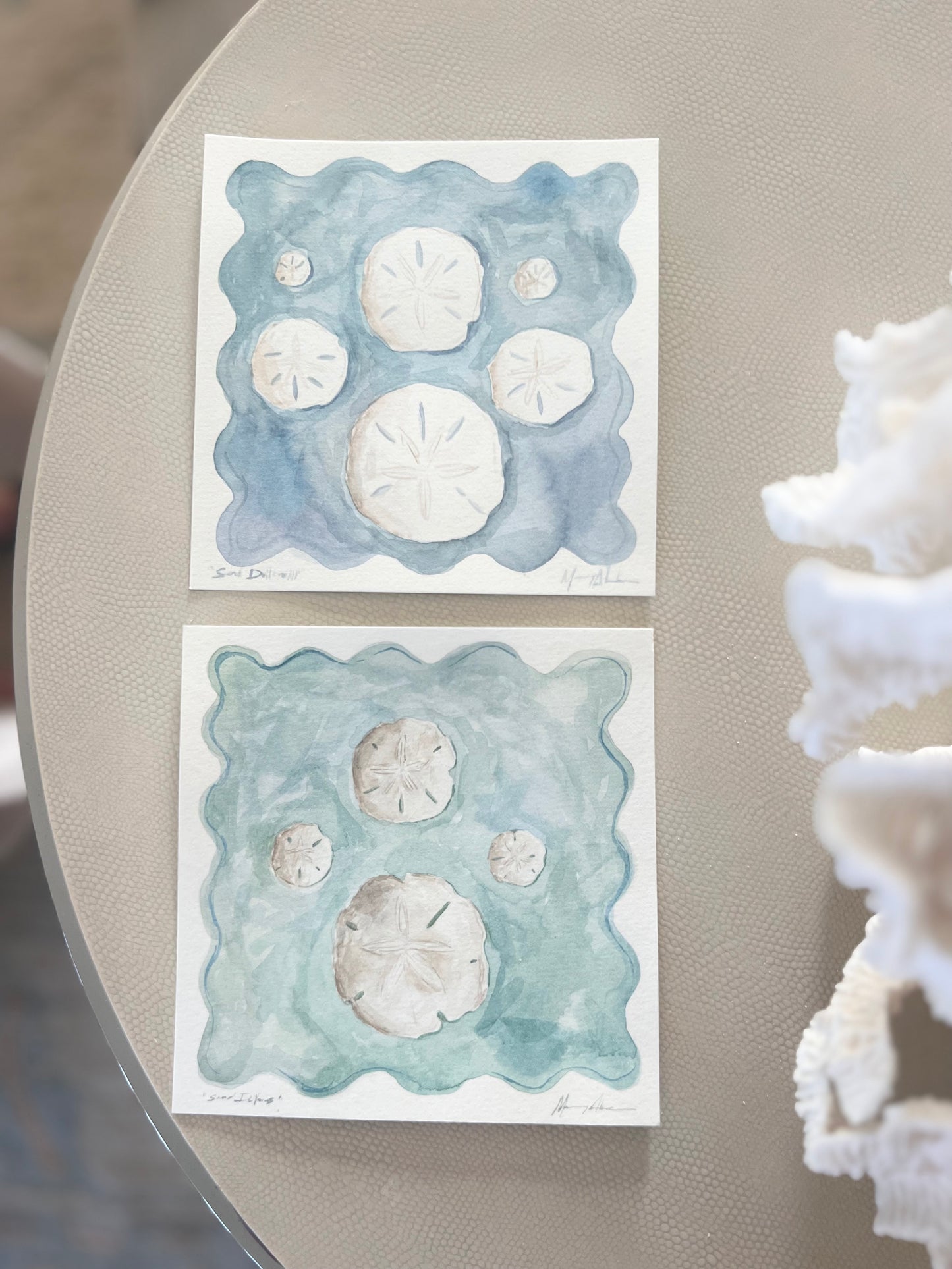 Sand dollars