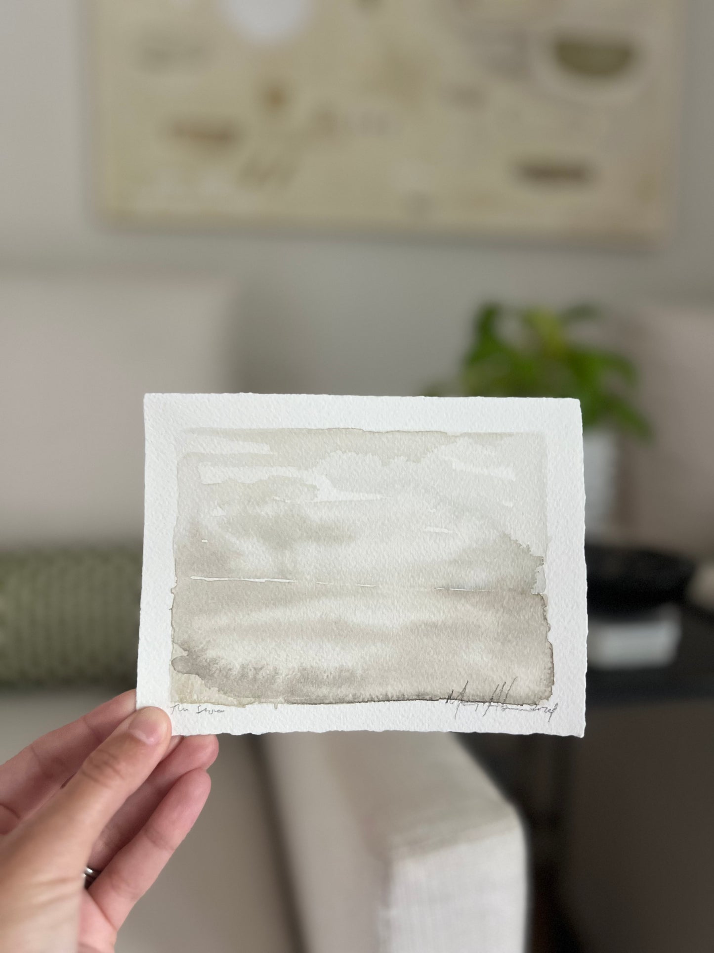 Landscapes from 30A (I-VI)