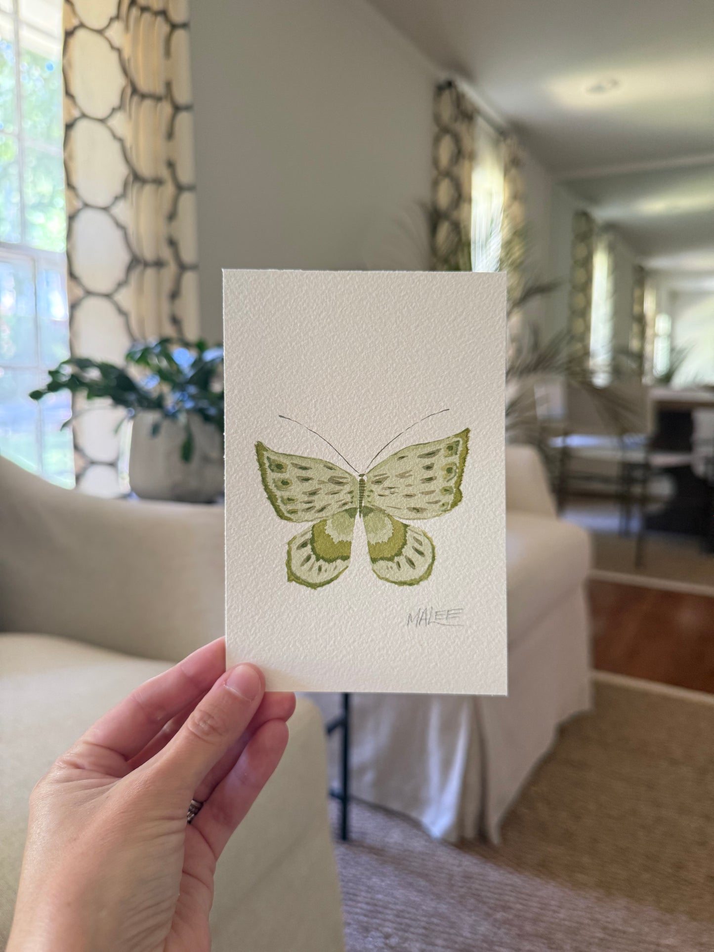 Butterfly garden watercolors