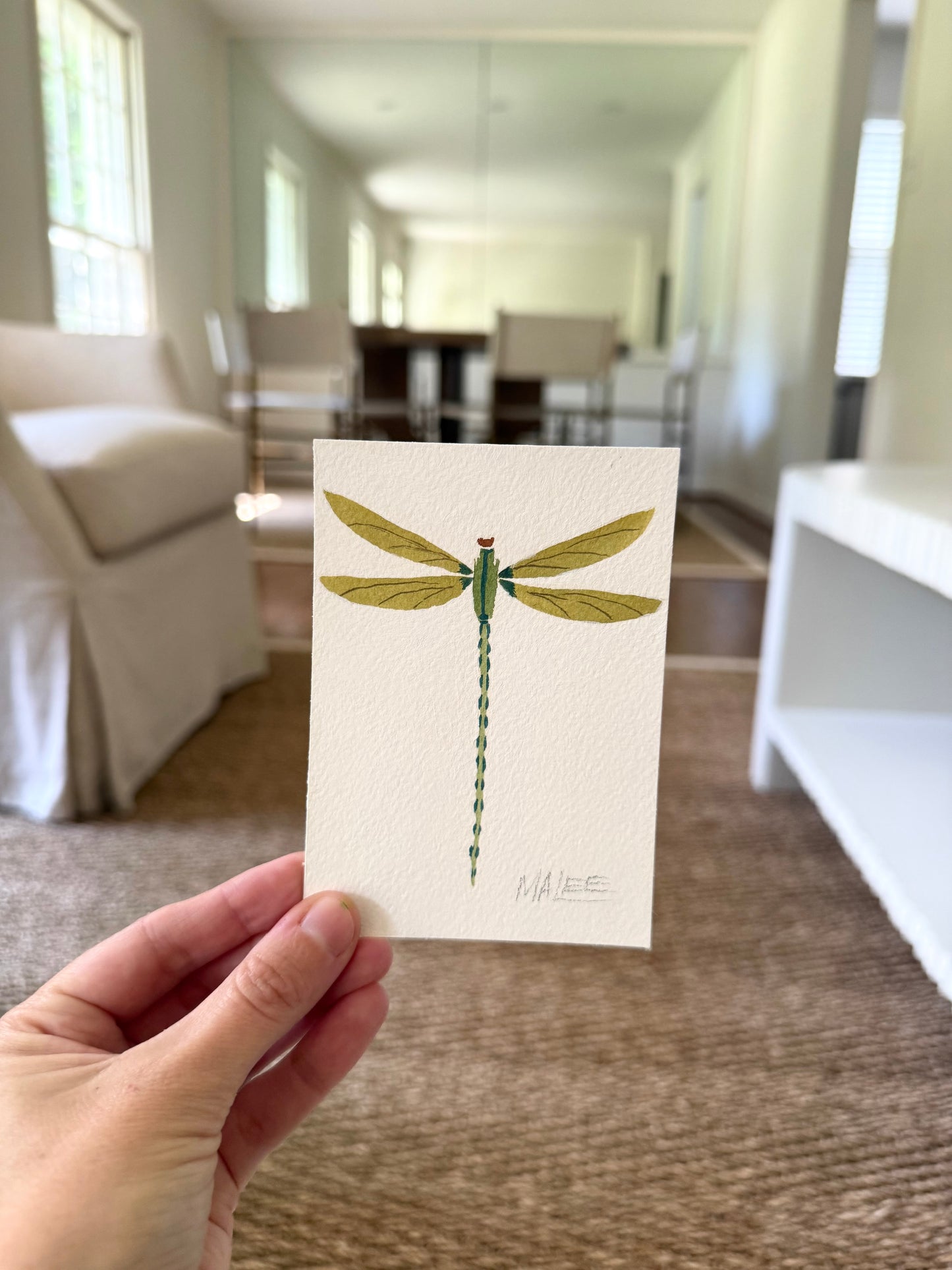 Petit dragonflies