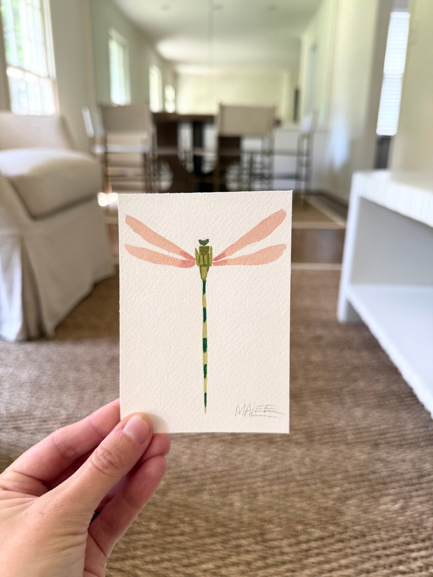 Petit dragonflies