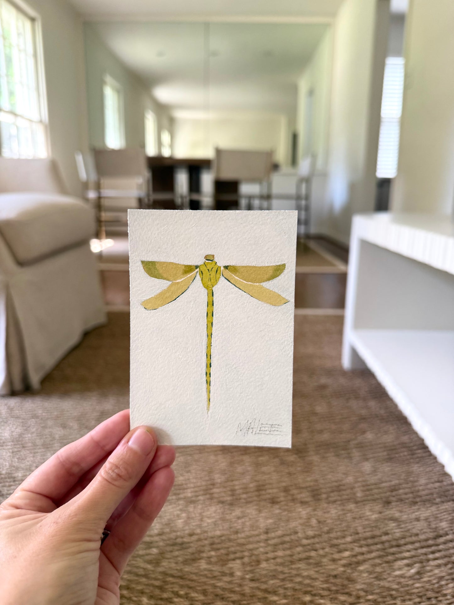 Petit dragonflies