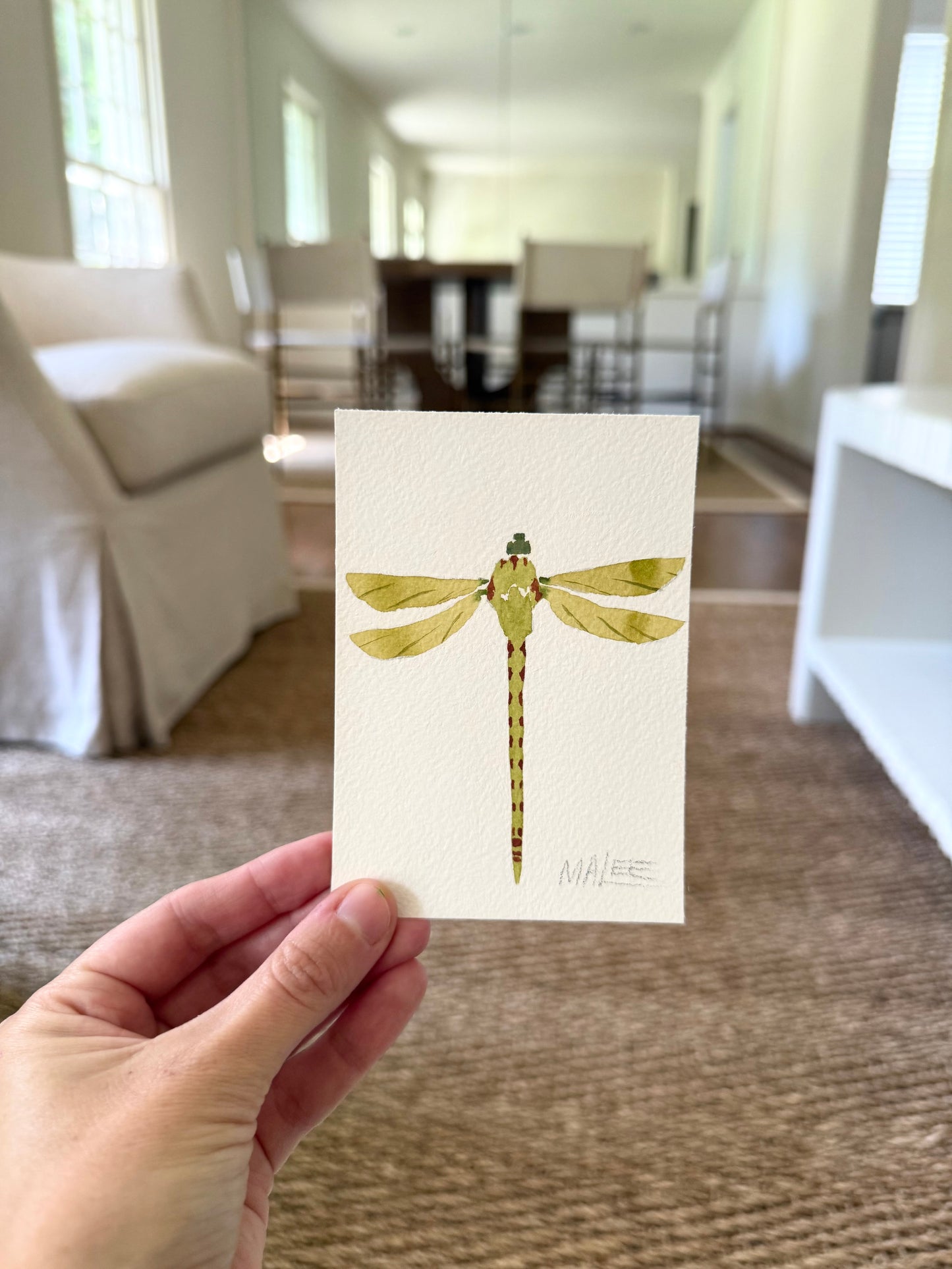 Petit dragonflies