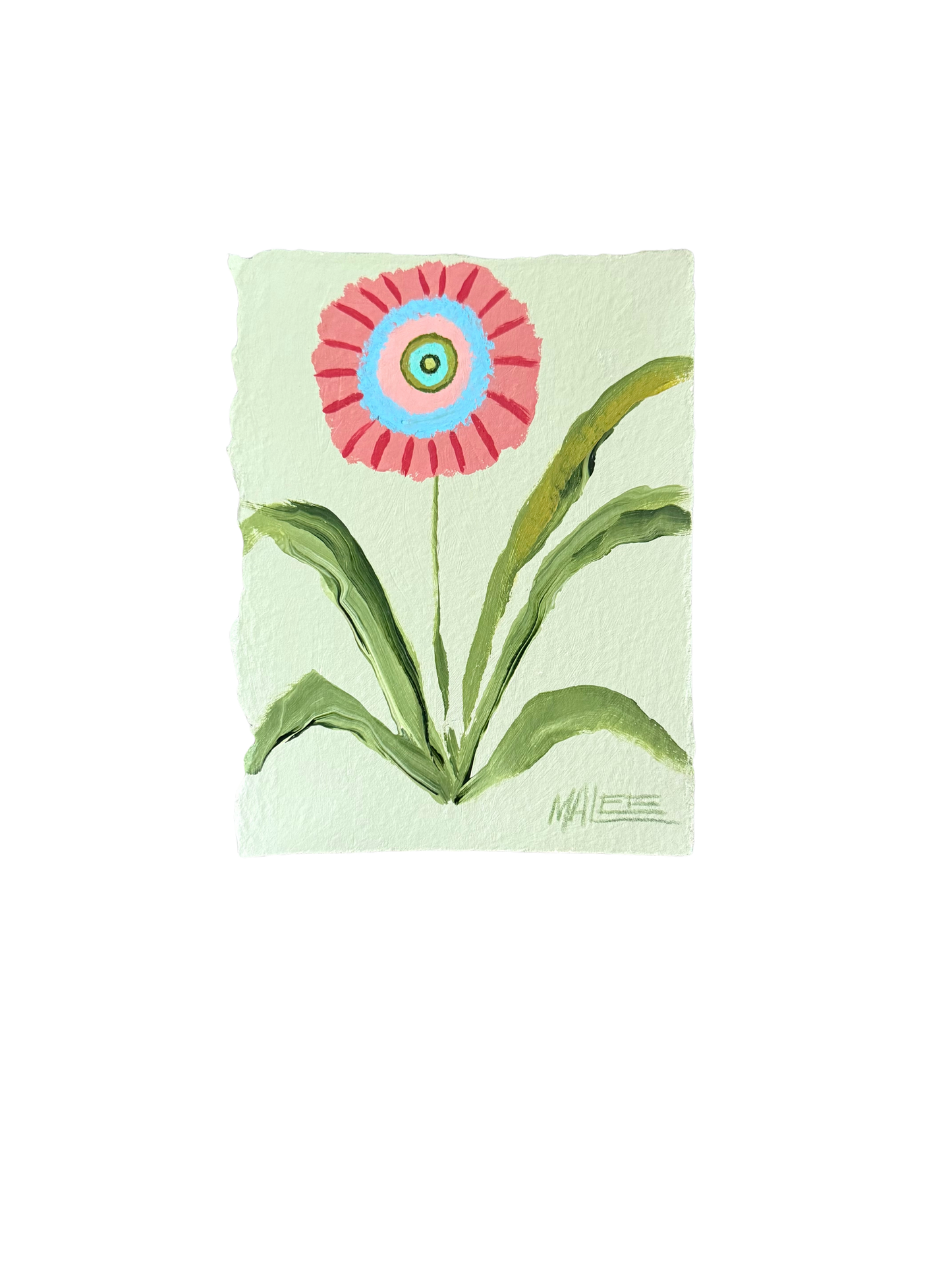 Statement blooms I-IX