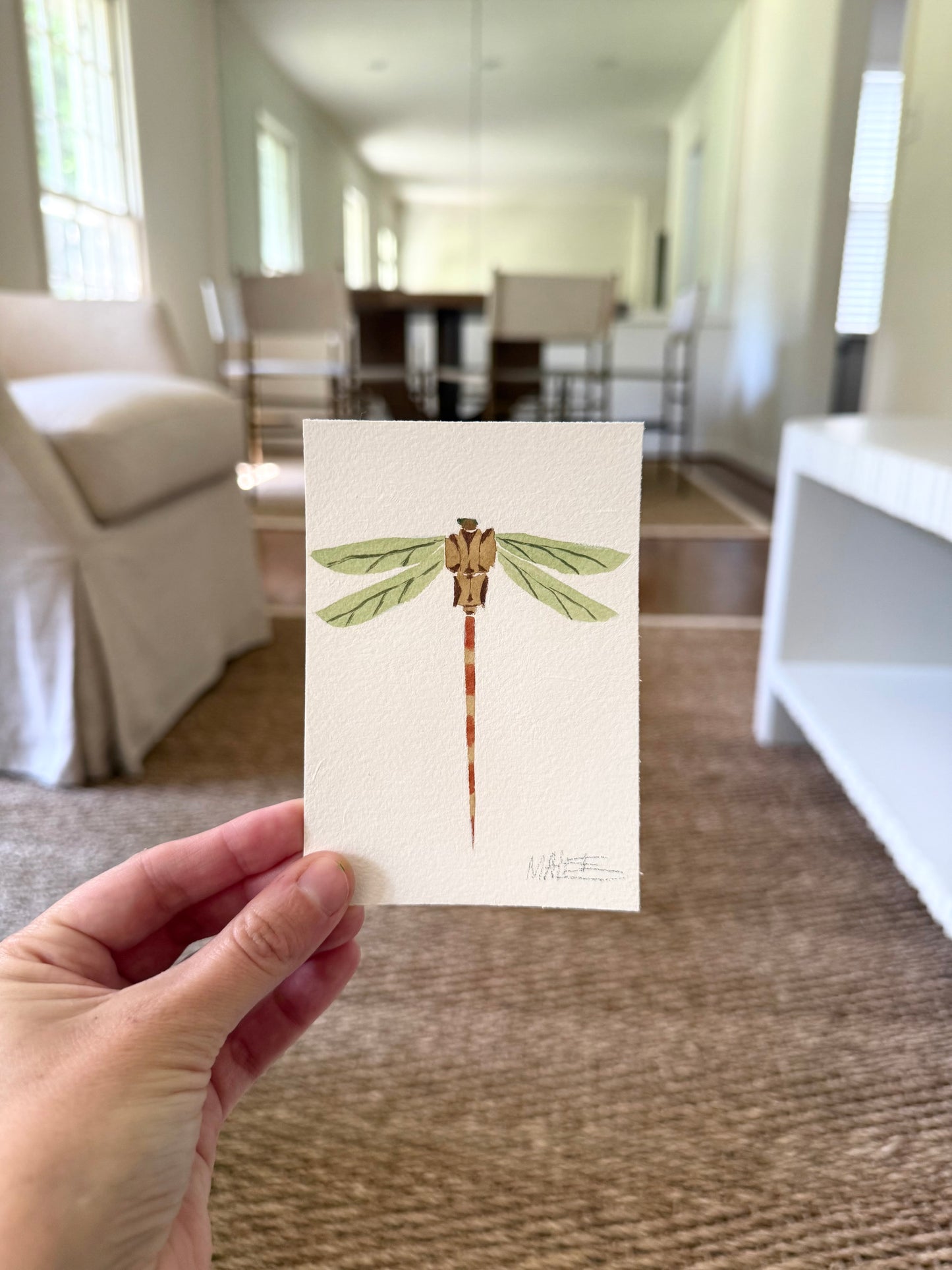 Petit dragonflies