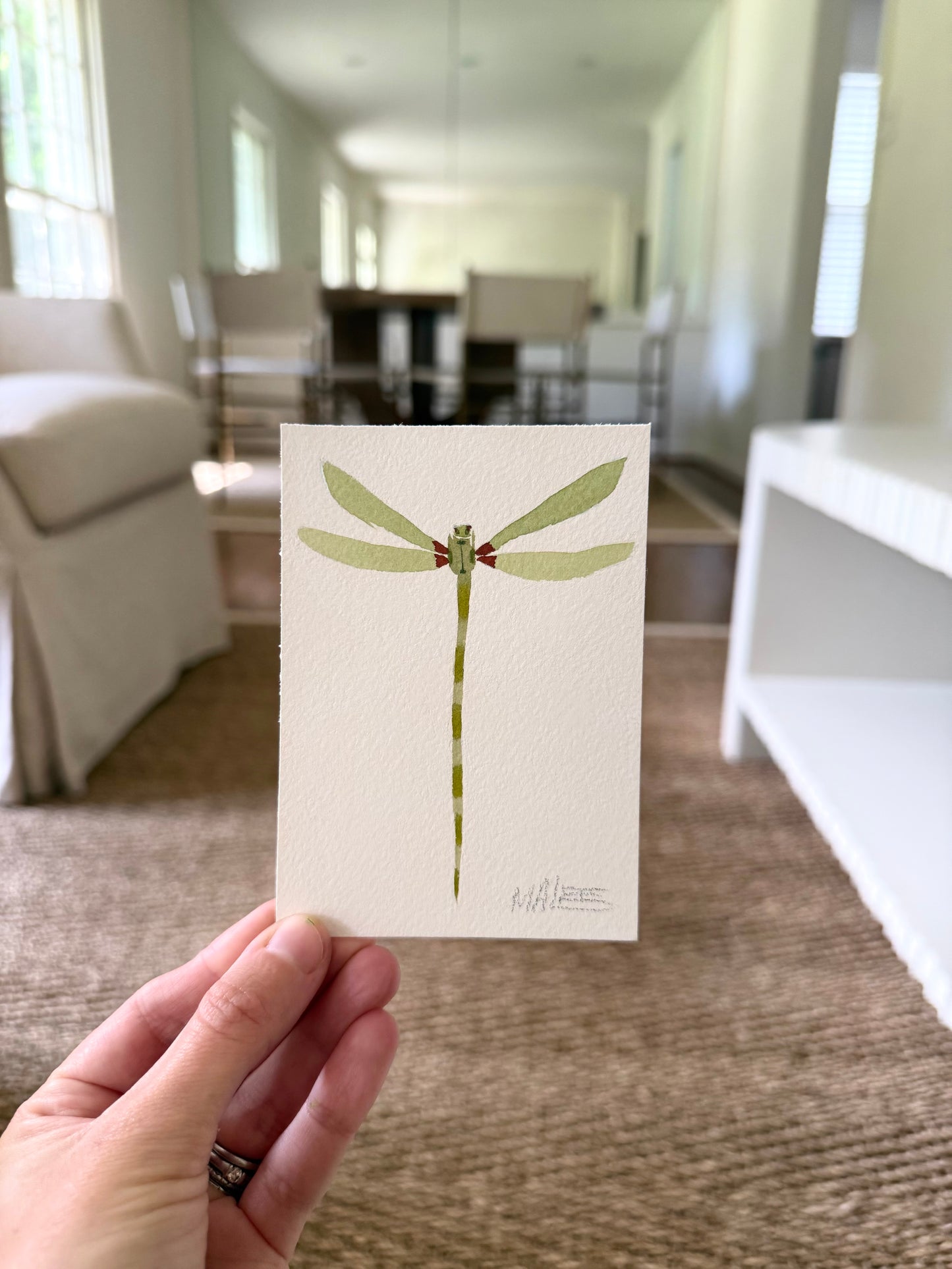 Petit dragonflies