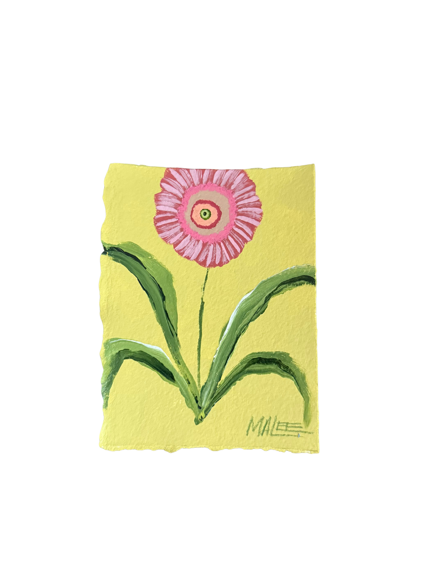 Statement blooms I-IX