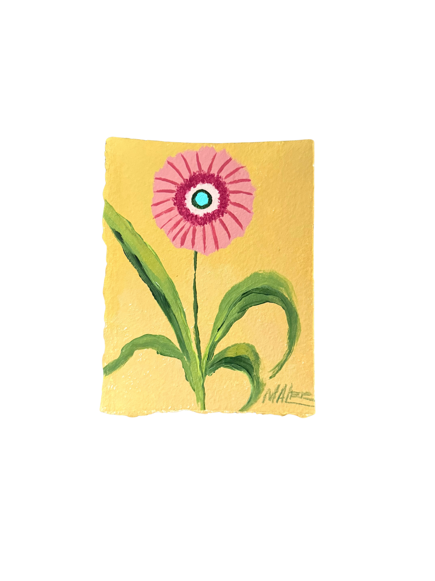 Statement blooms I-IX