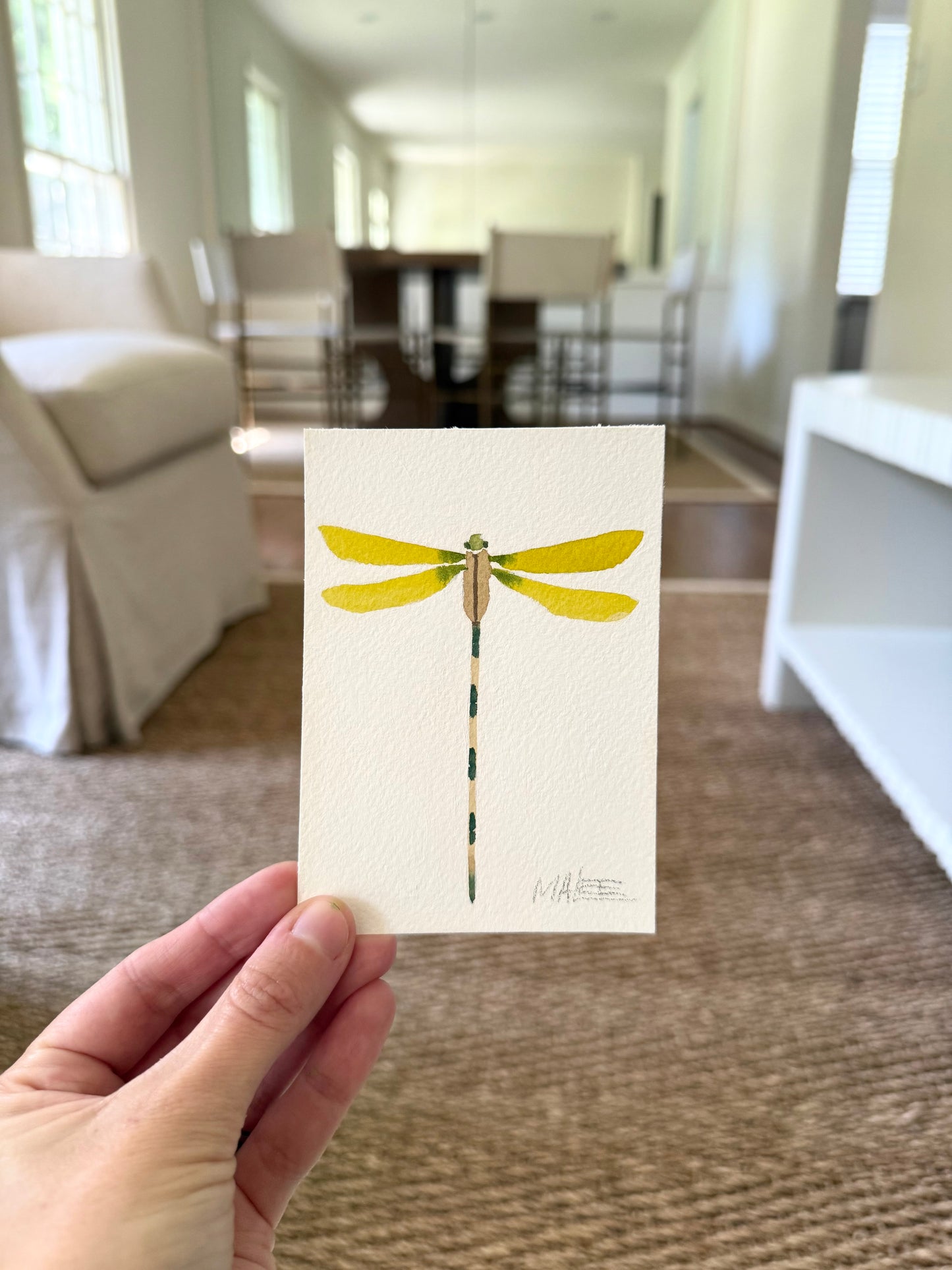 Petit dragonflies