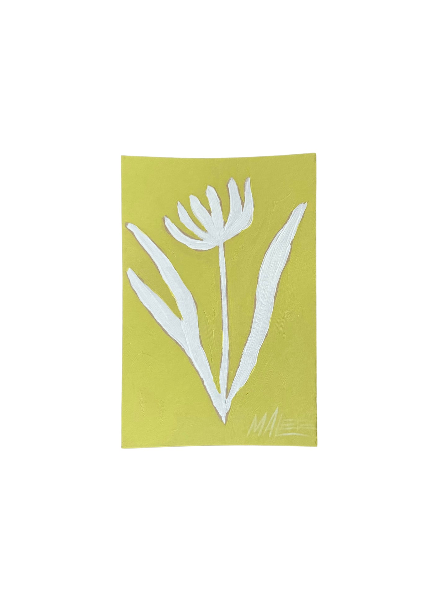 Yellows