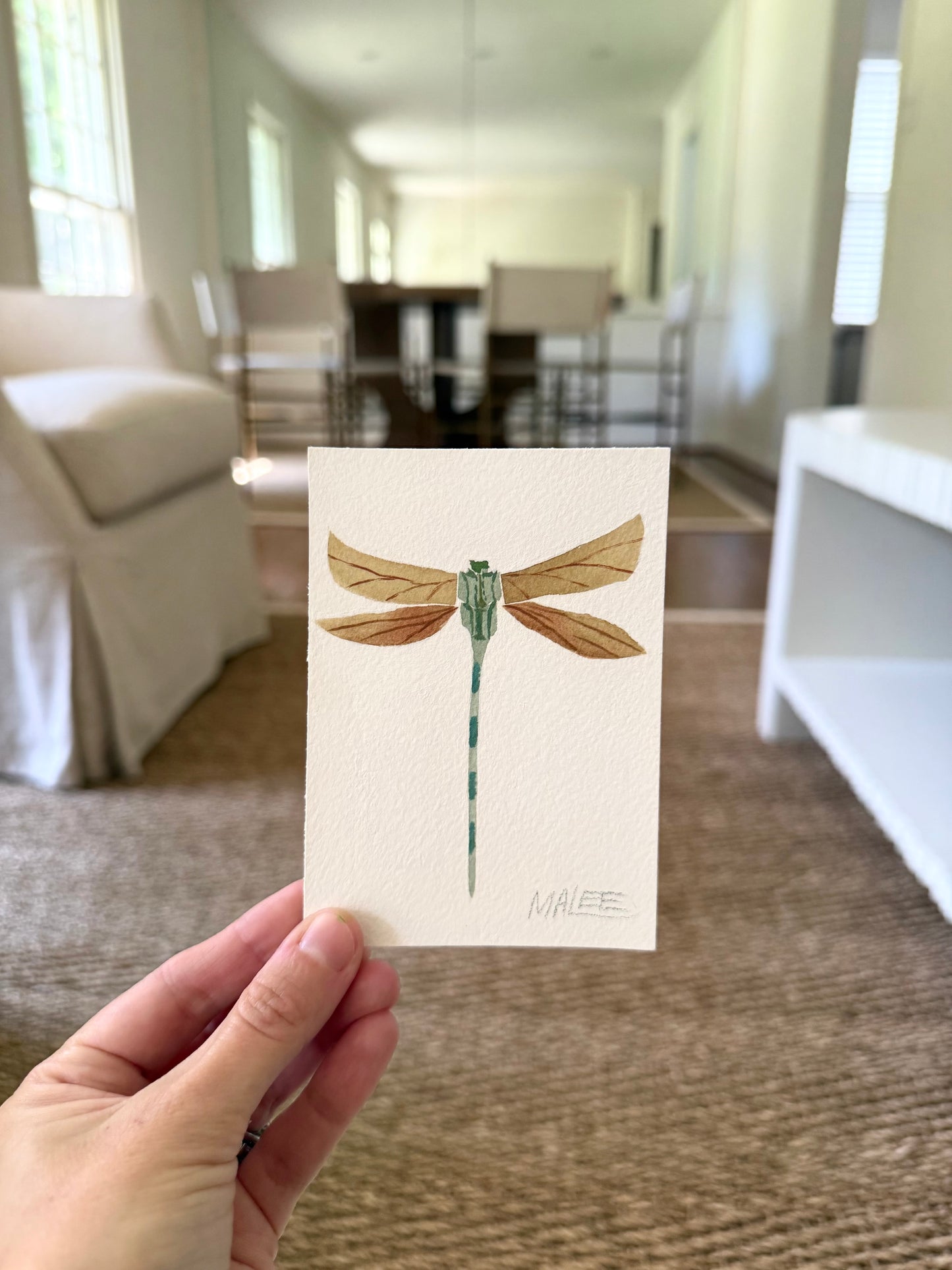 Petit dragonflies