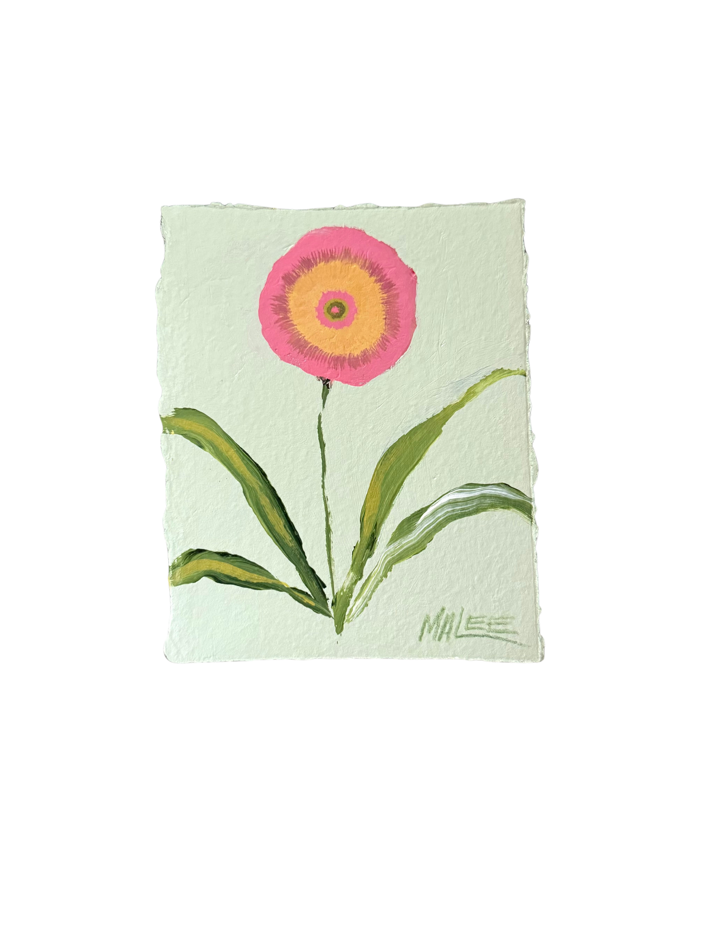 Statement blooms I-IX