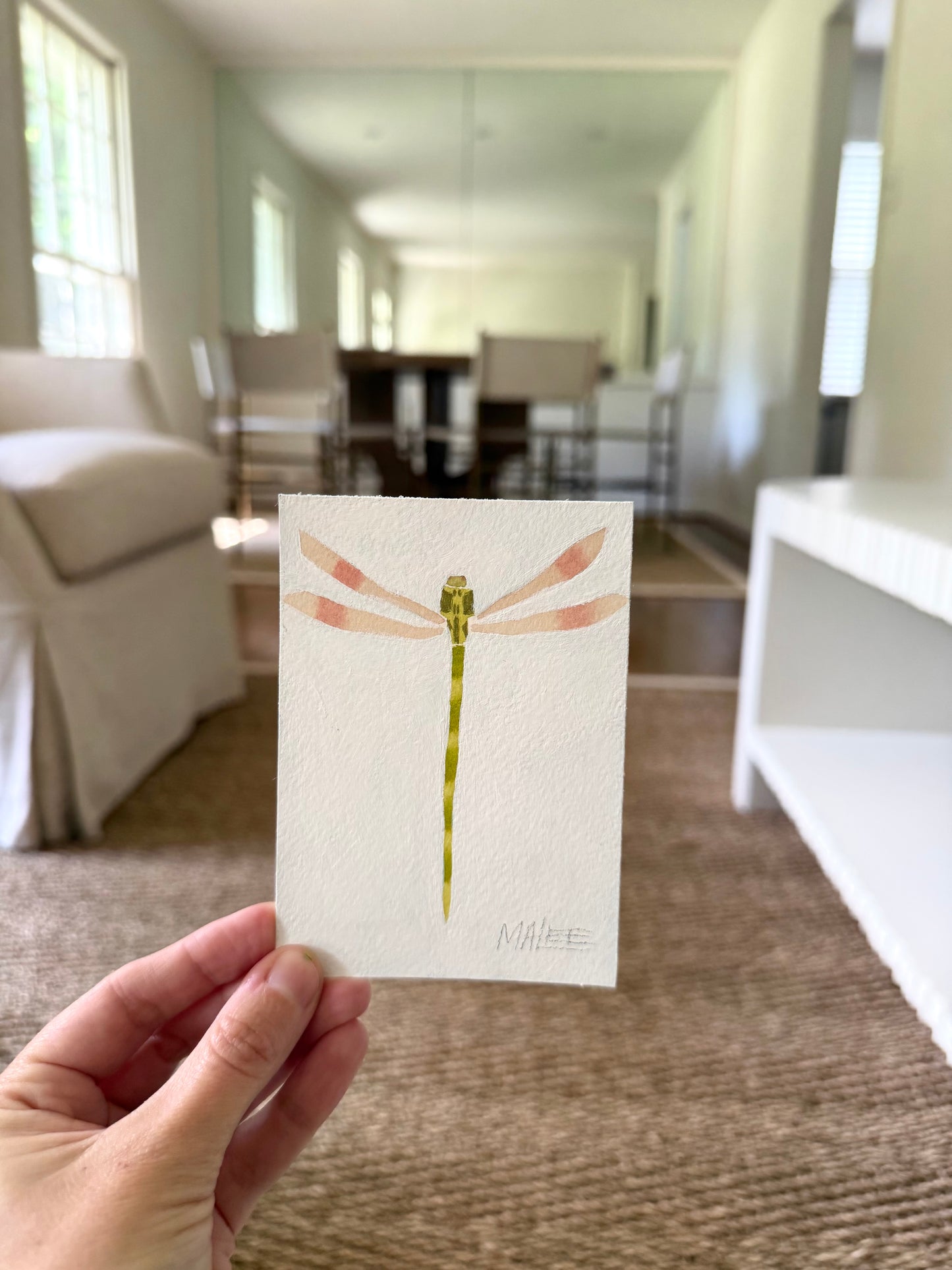 Petit dragonflies