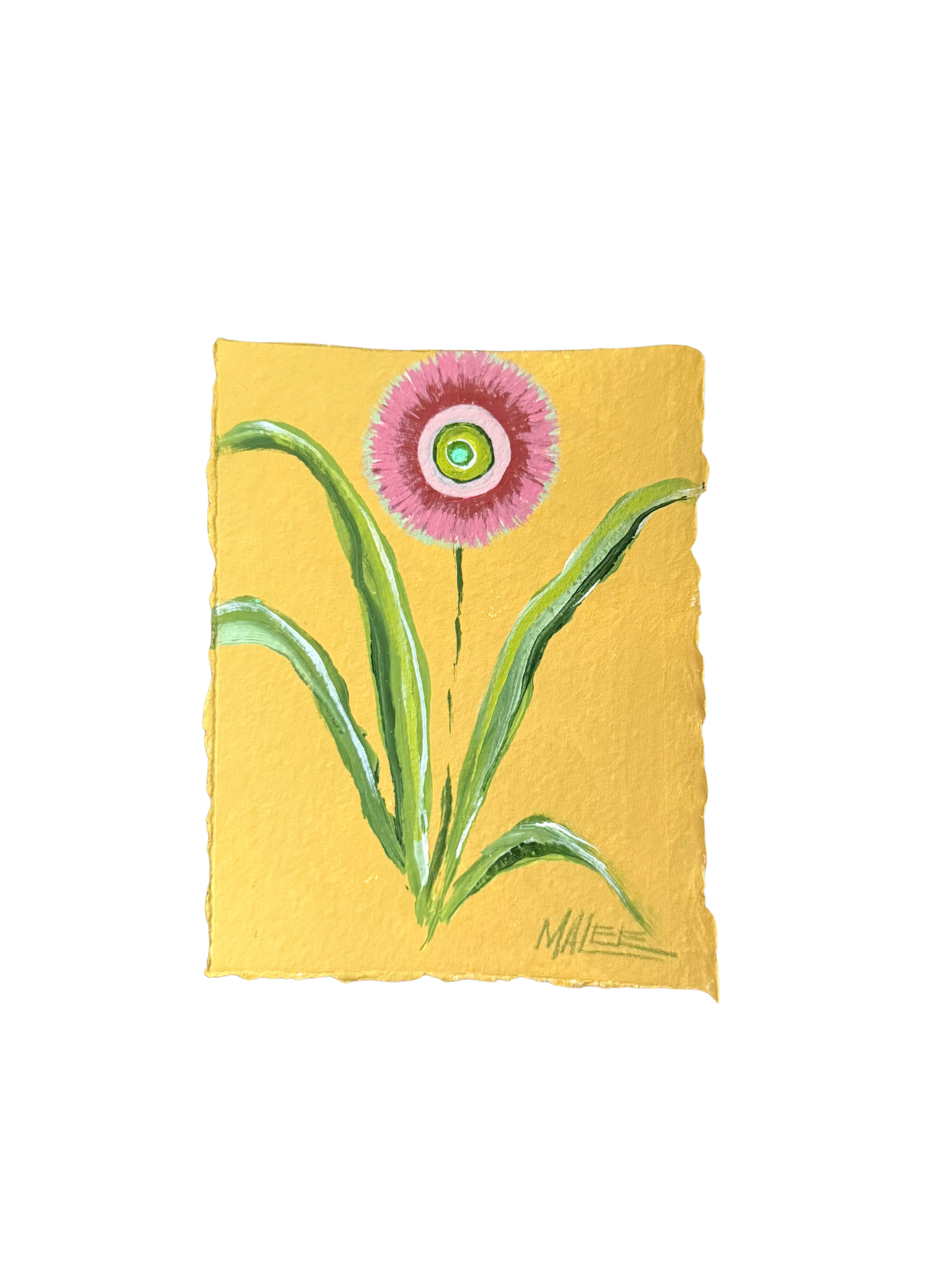 Statement blooms I-IX