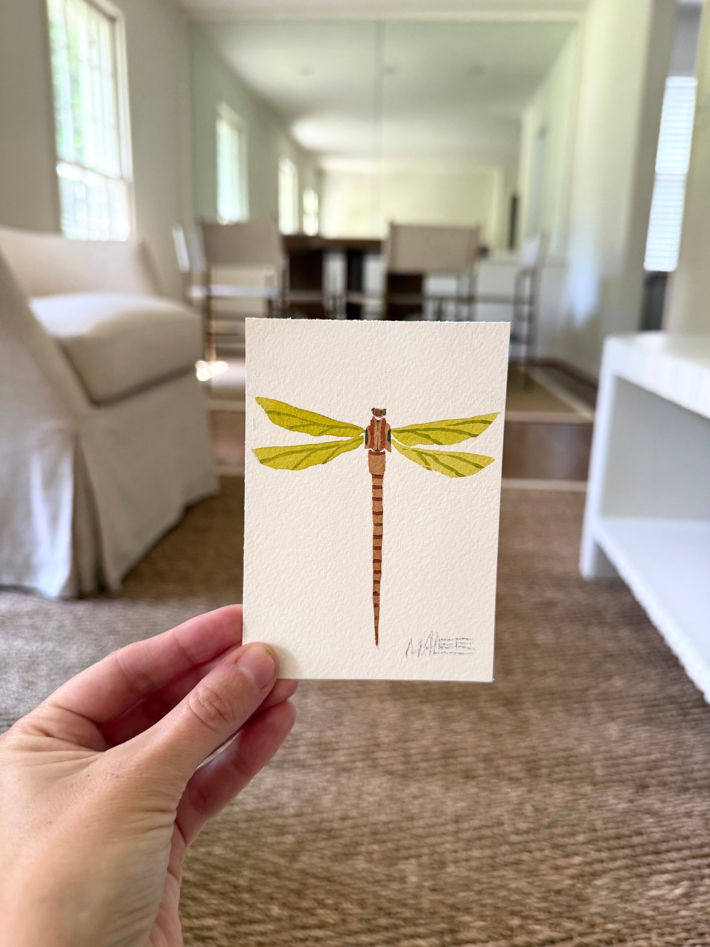 Petit dragonflies