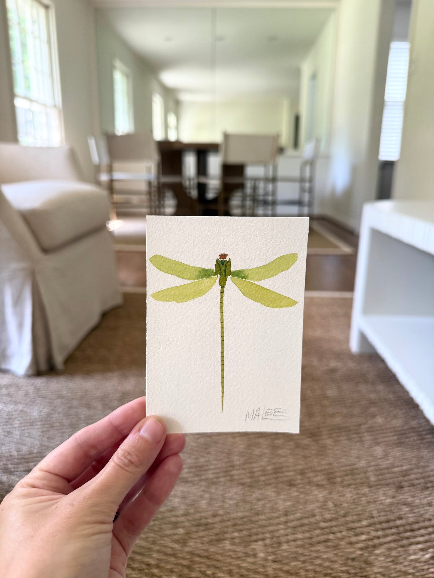 Petit dragonflies