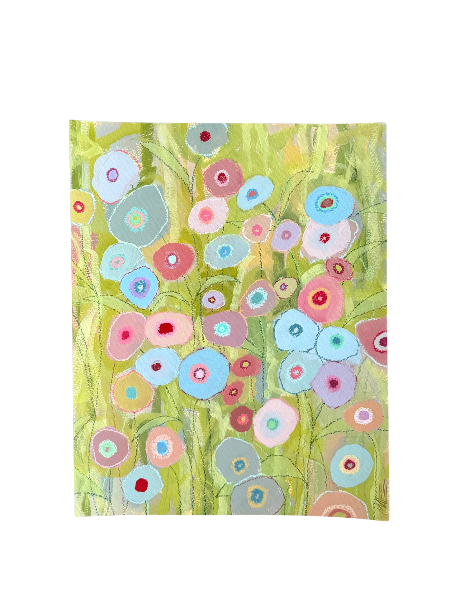 Poppies