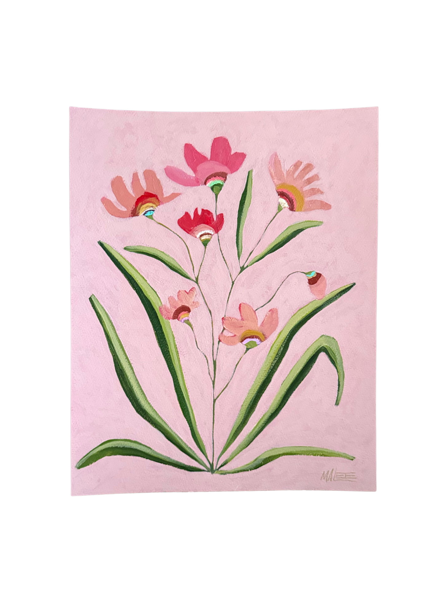 Tickled pink I