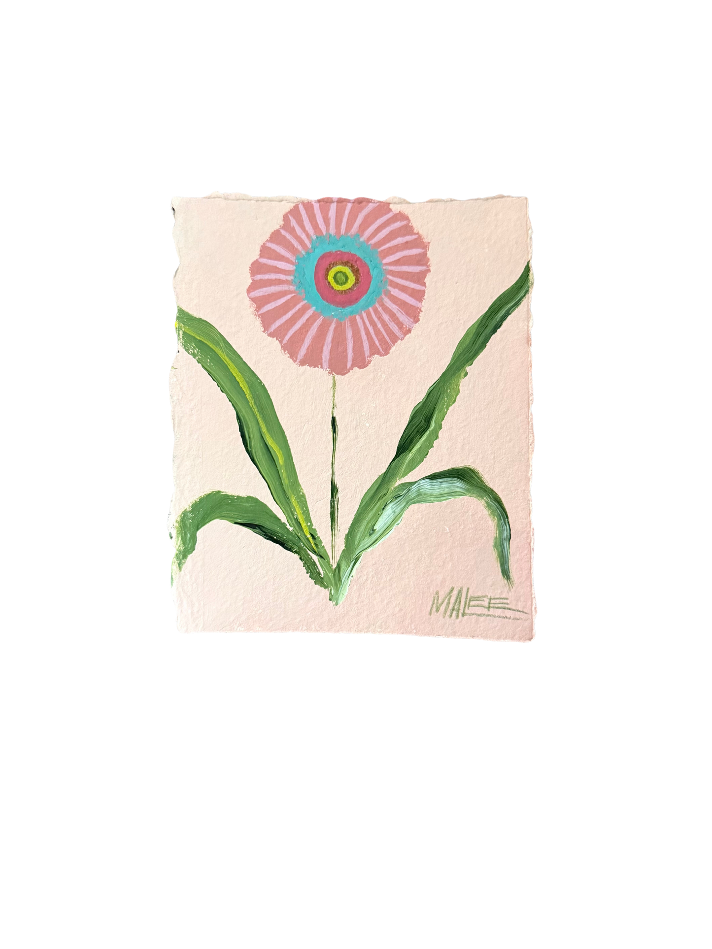 Statement blooms I-IX