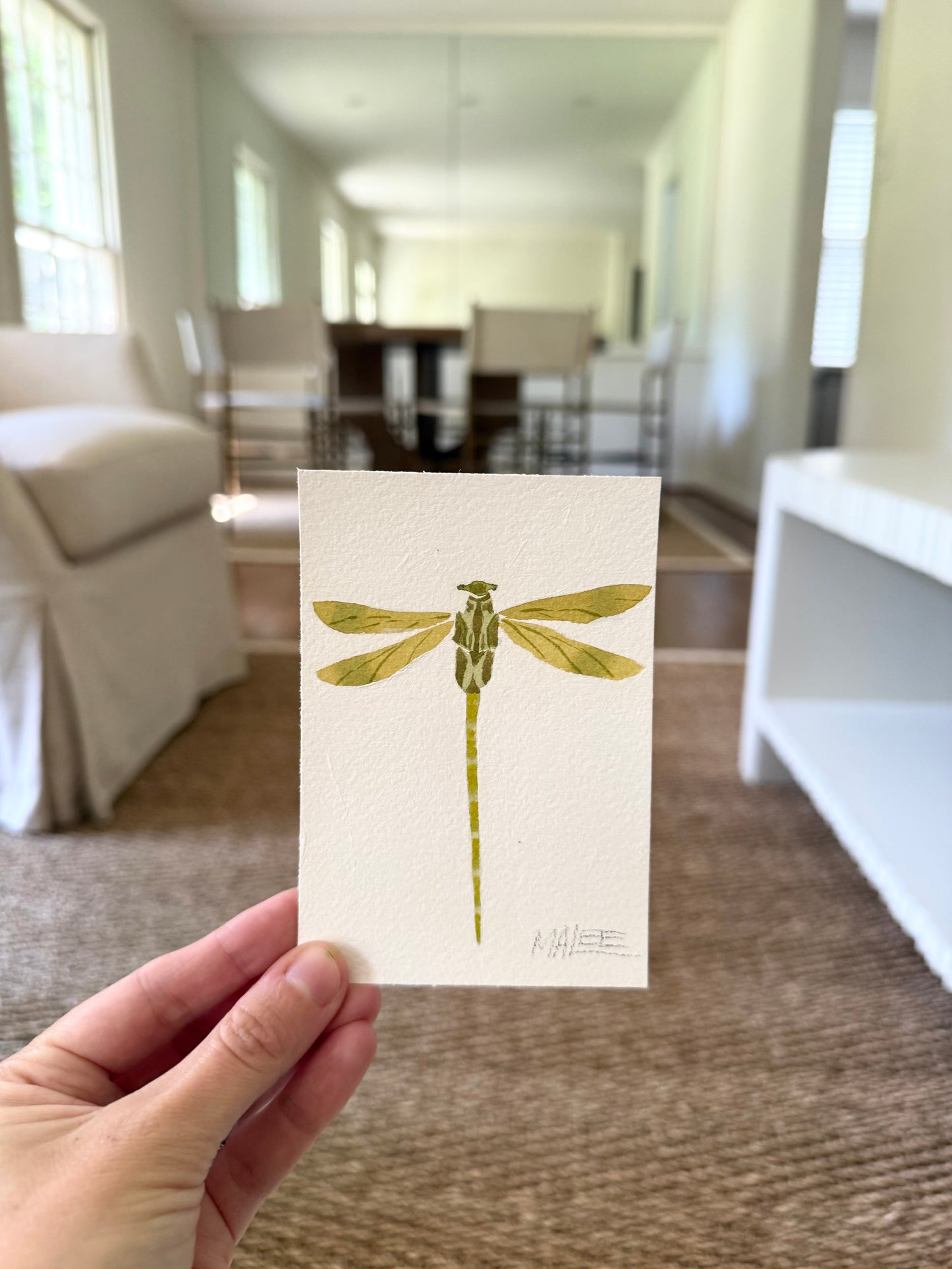 Petit dragonflies