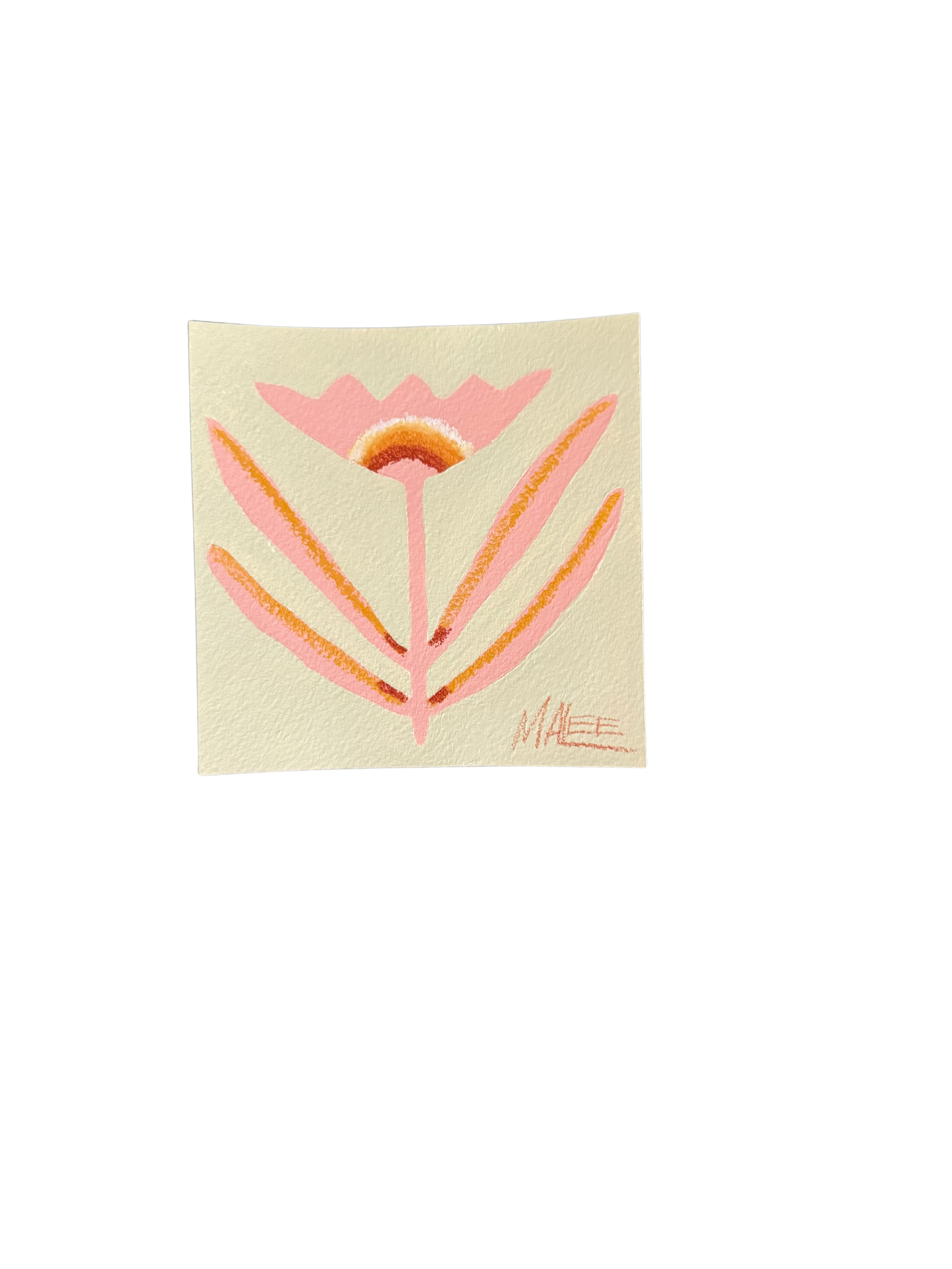 Botanical minis