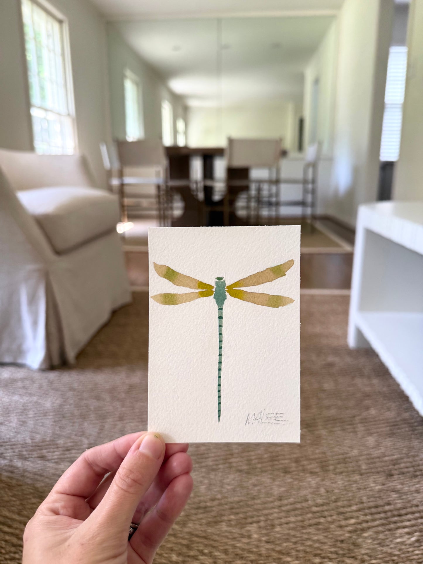 Petit dragonflies