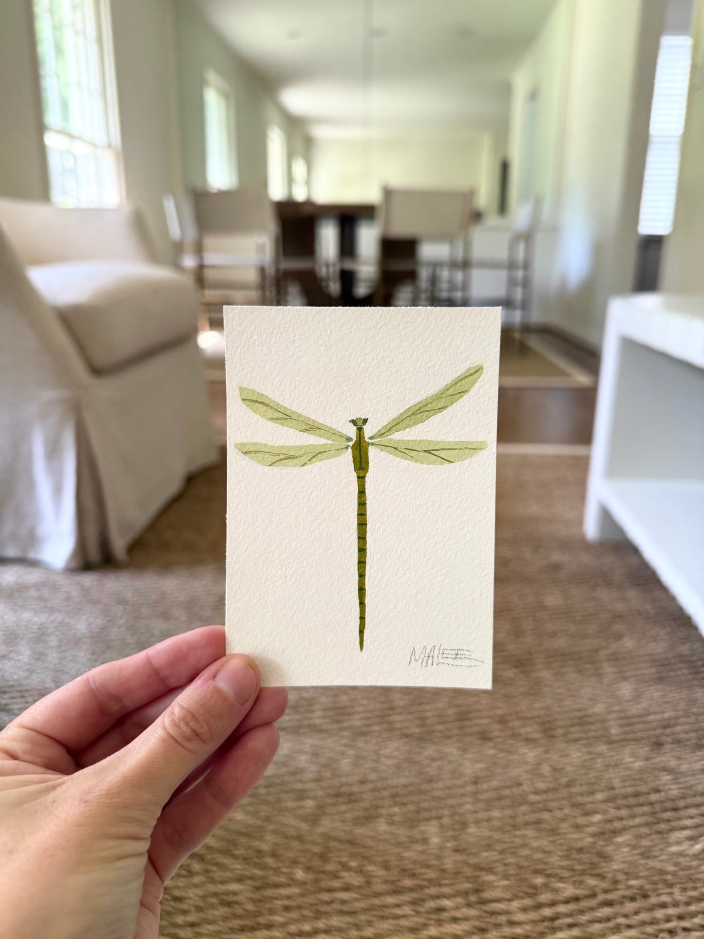 Petit dragonflies