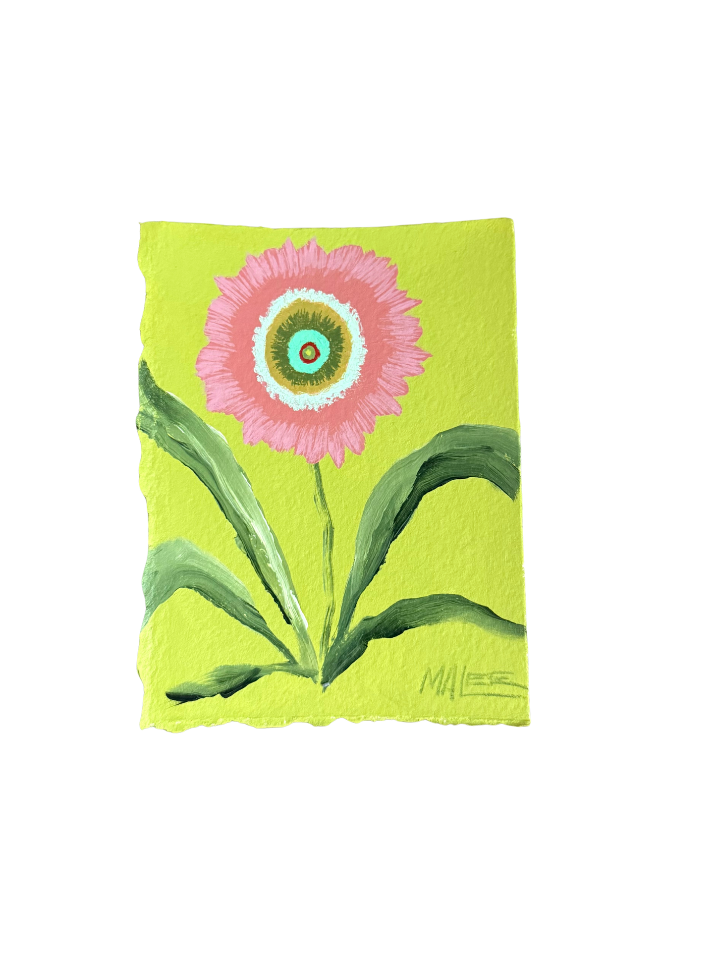 Statement blooms I-IX