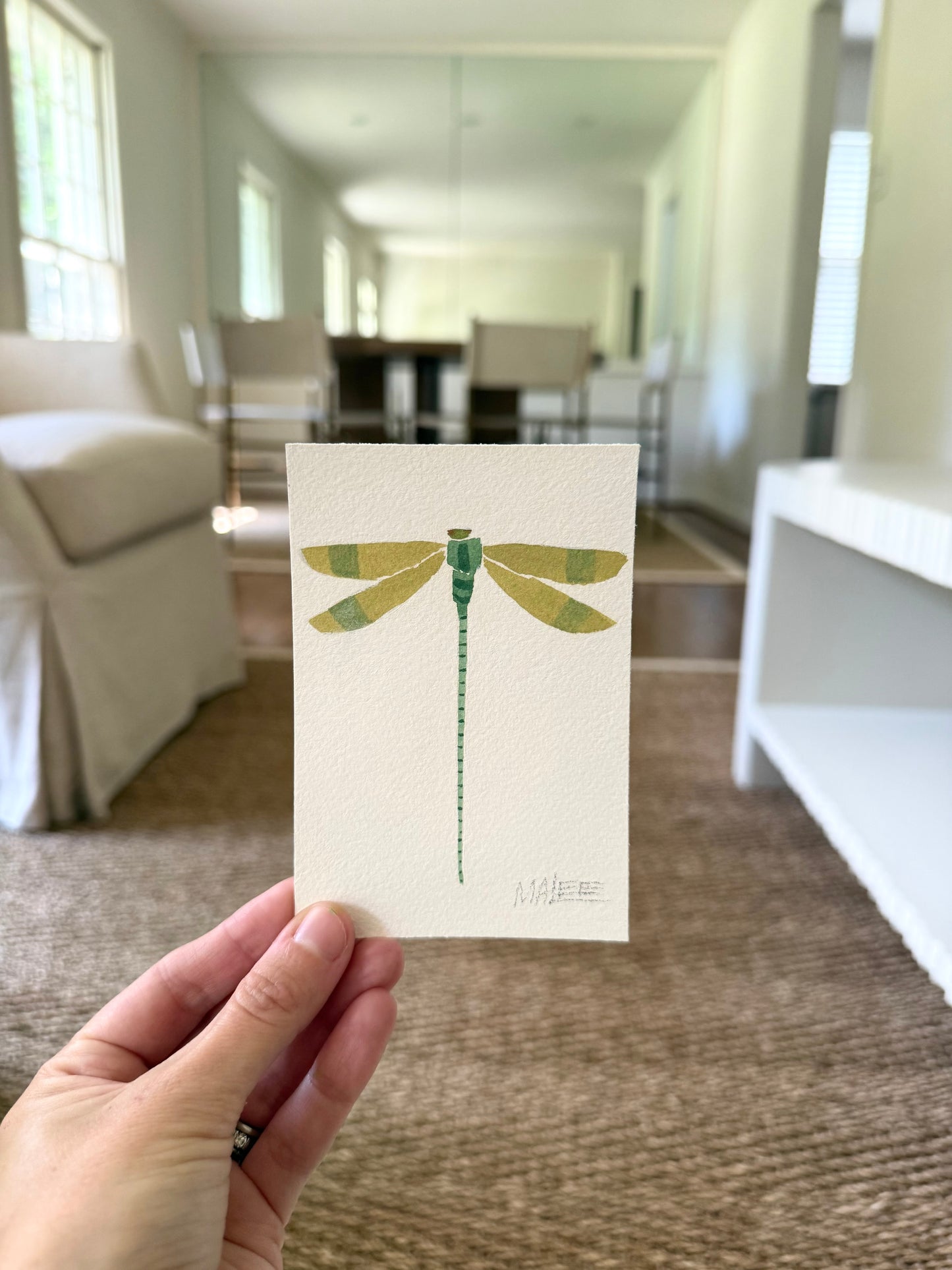 Petit dragonflies
