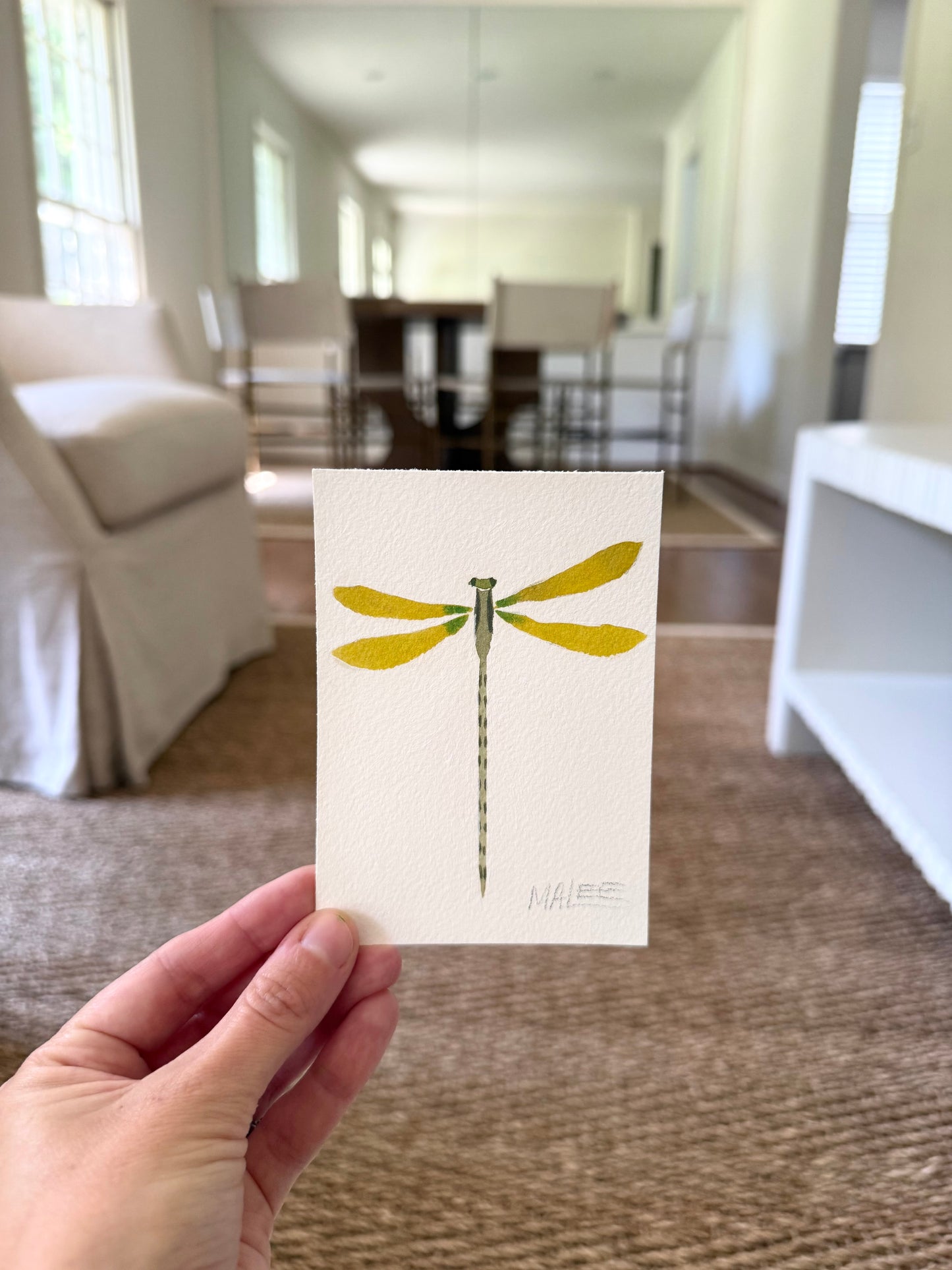 Petit dragonflies