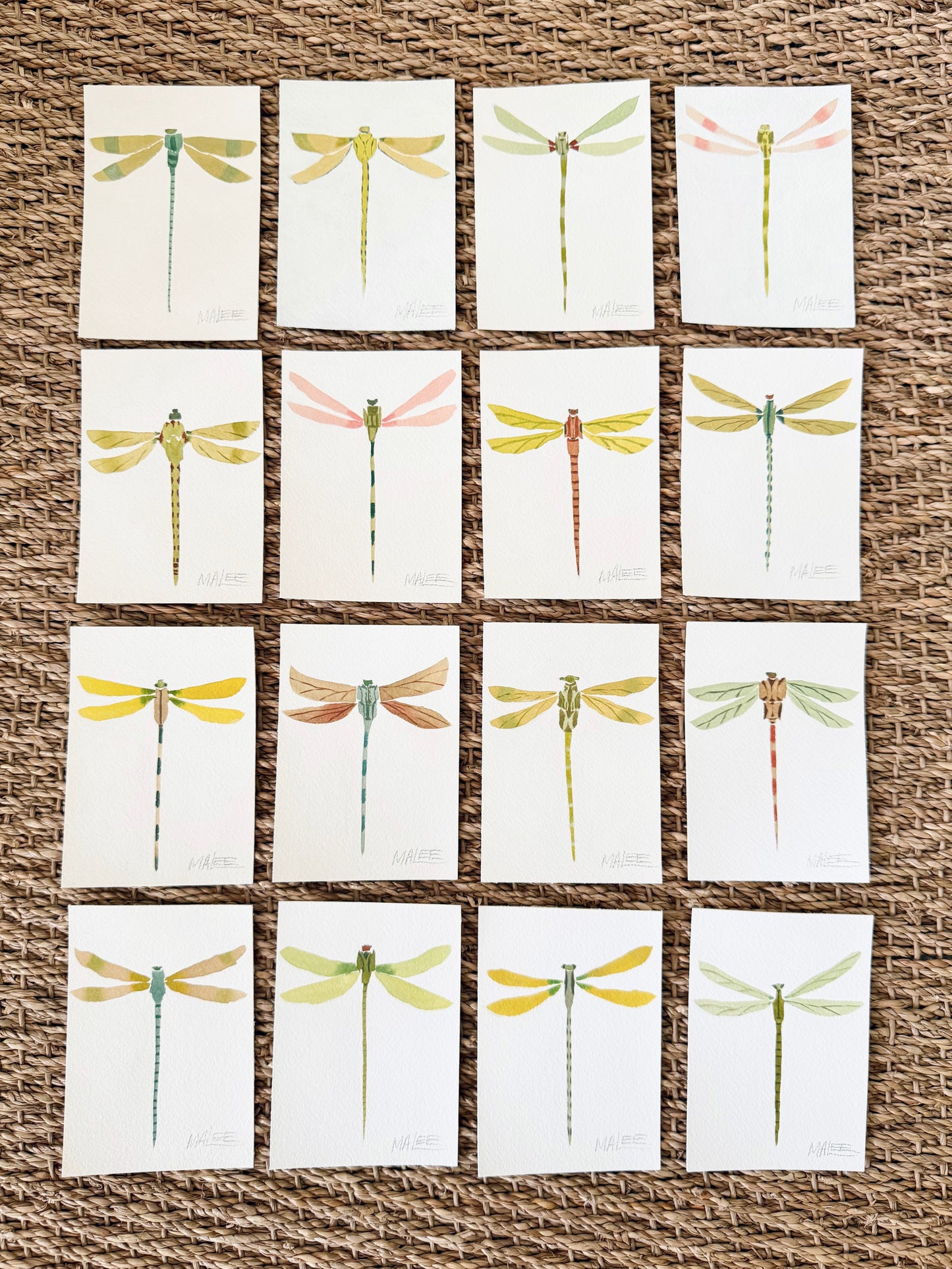 Petit dragonflies