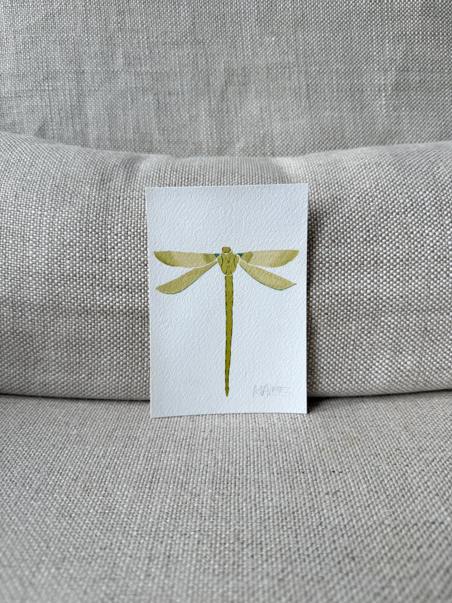 Petit dragonflies