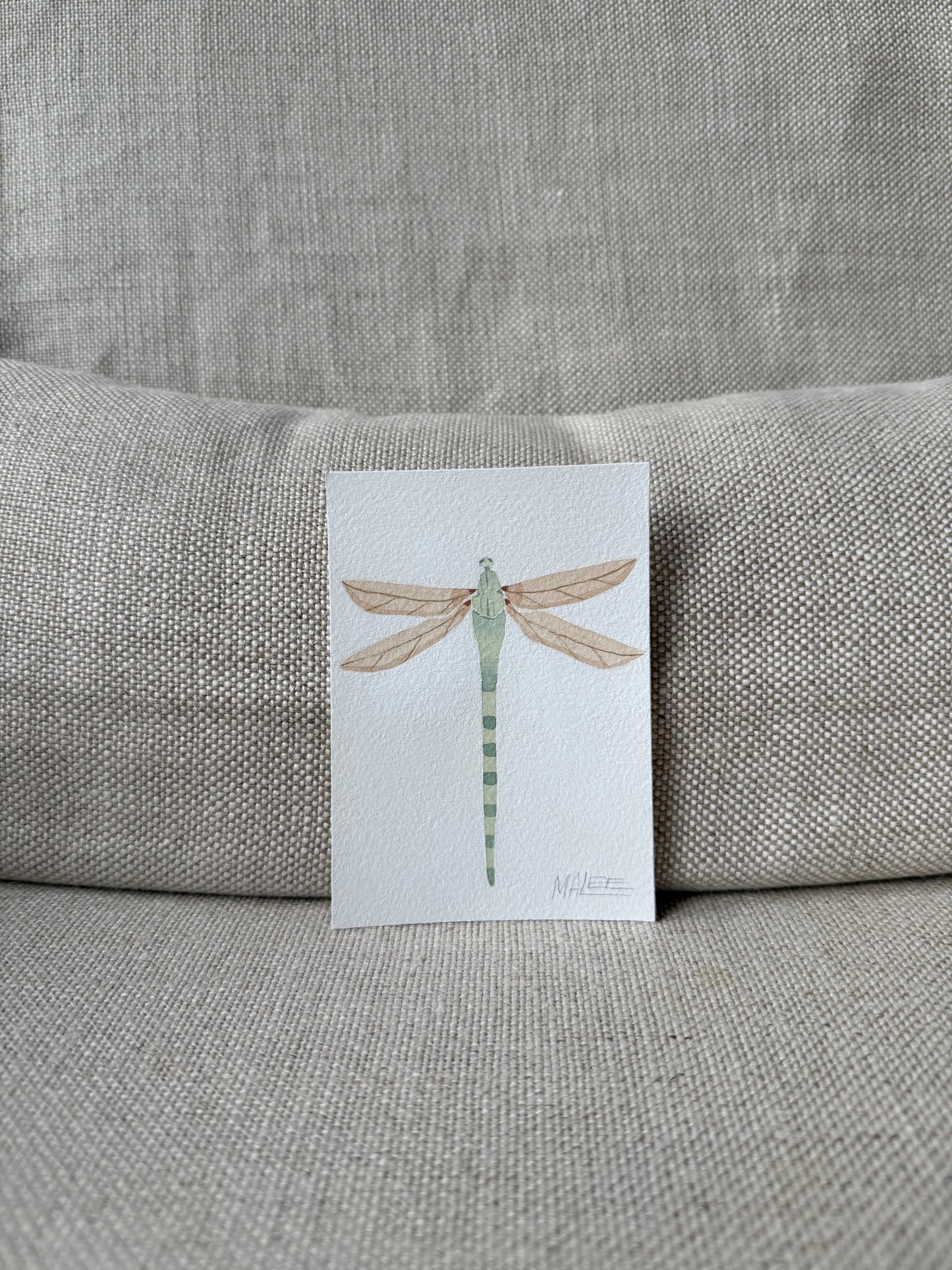 Petit dragonflies
